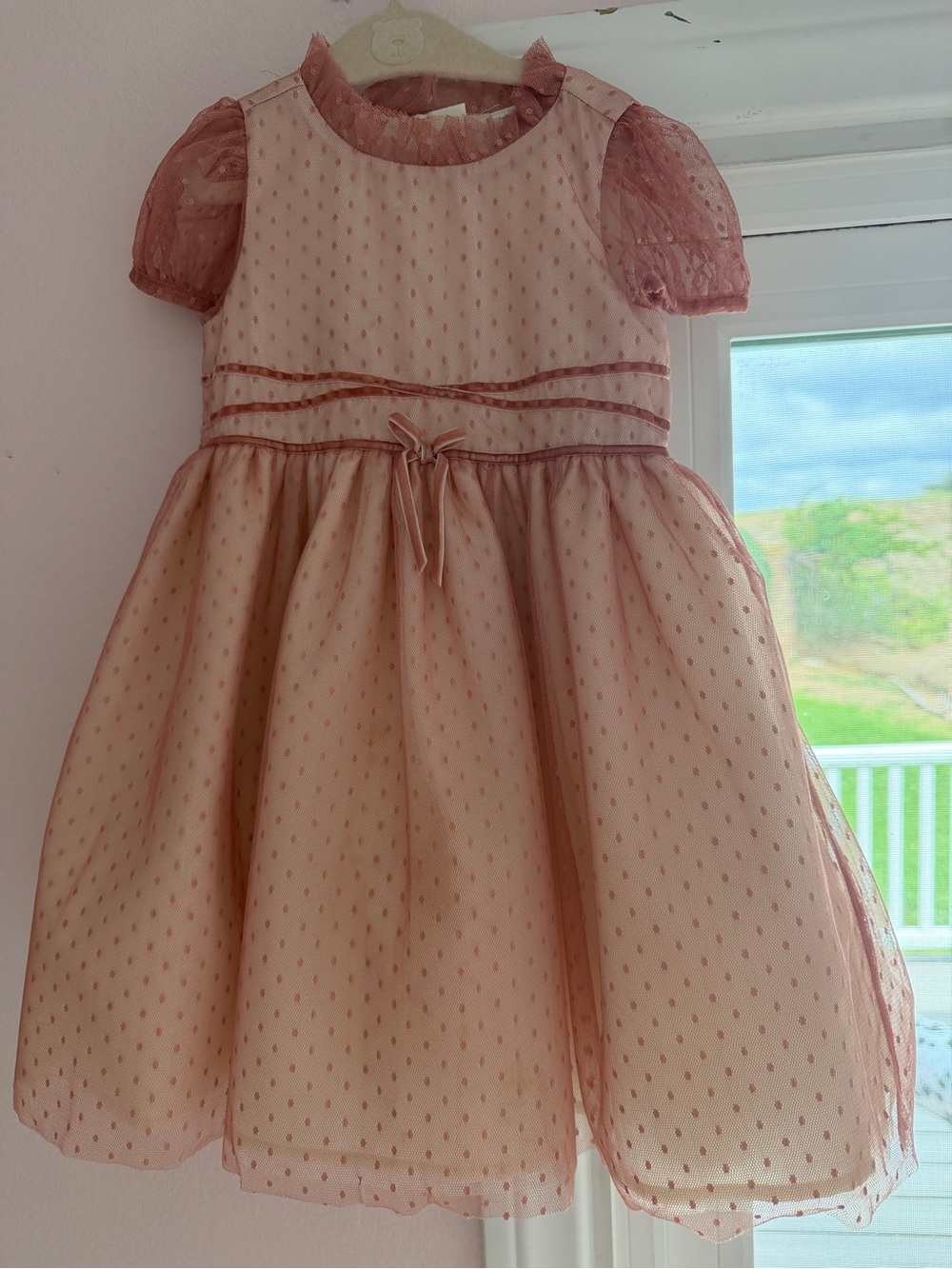 Janie and Jack Dusty Rose Dot Tulle Party Dress